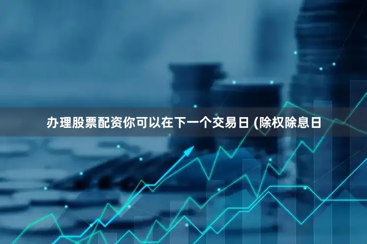 办理股票配资你可以在下一个交易日 (除权除息日